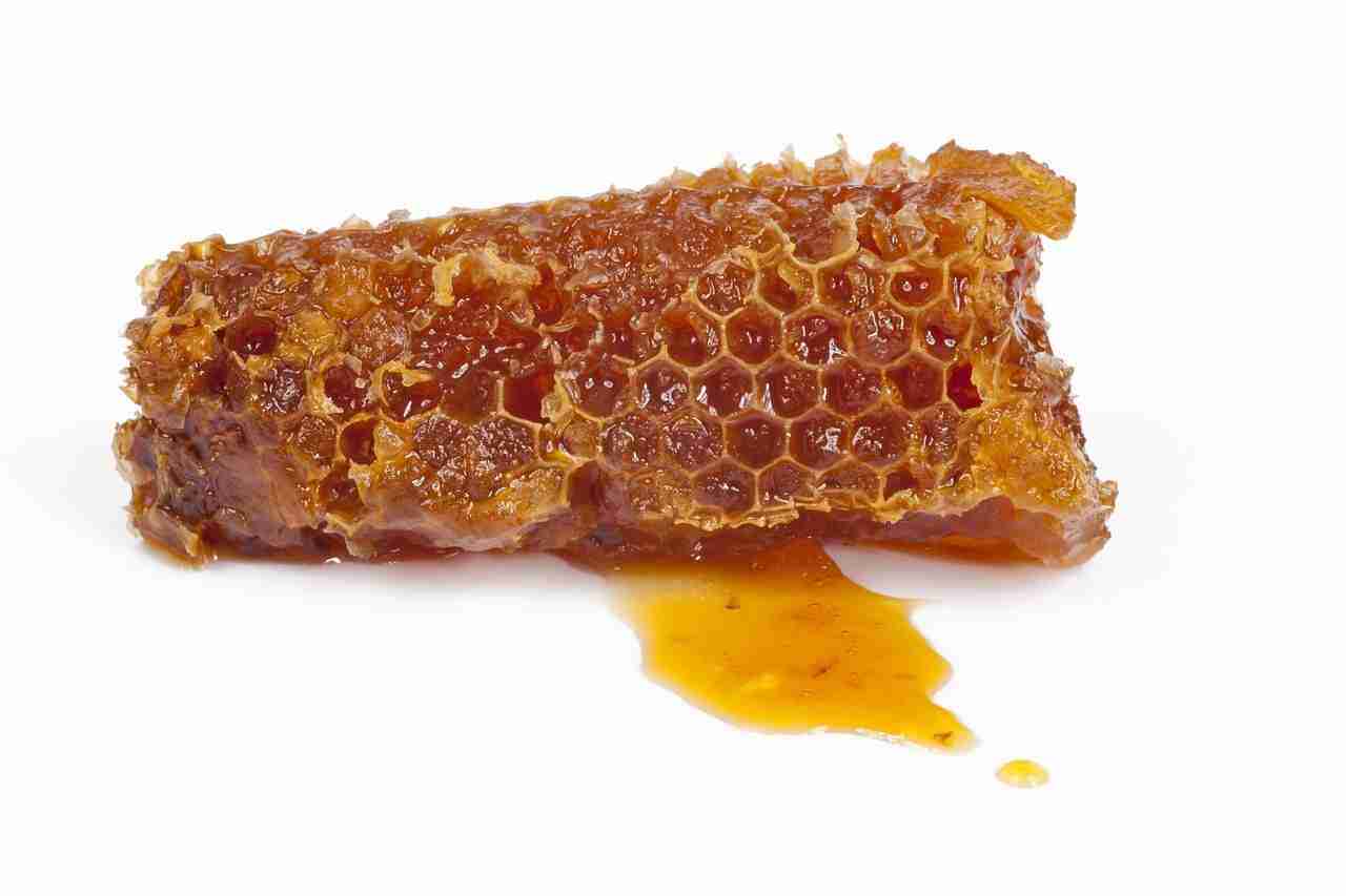 La propolis avec du miel sur une table blanche